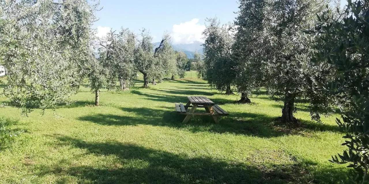 Farm stay Agriturismo Fioralba Polpenazze del Garda