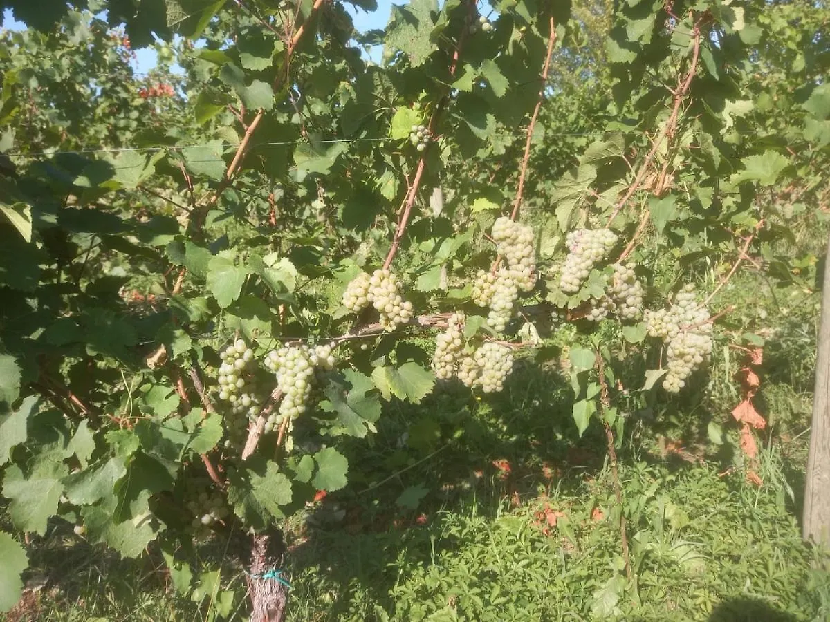 Agriturismo Fioralba Polpenazze del Garda 0*,