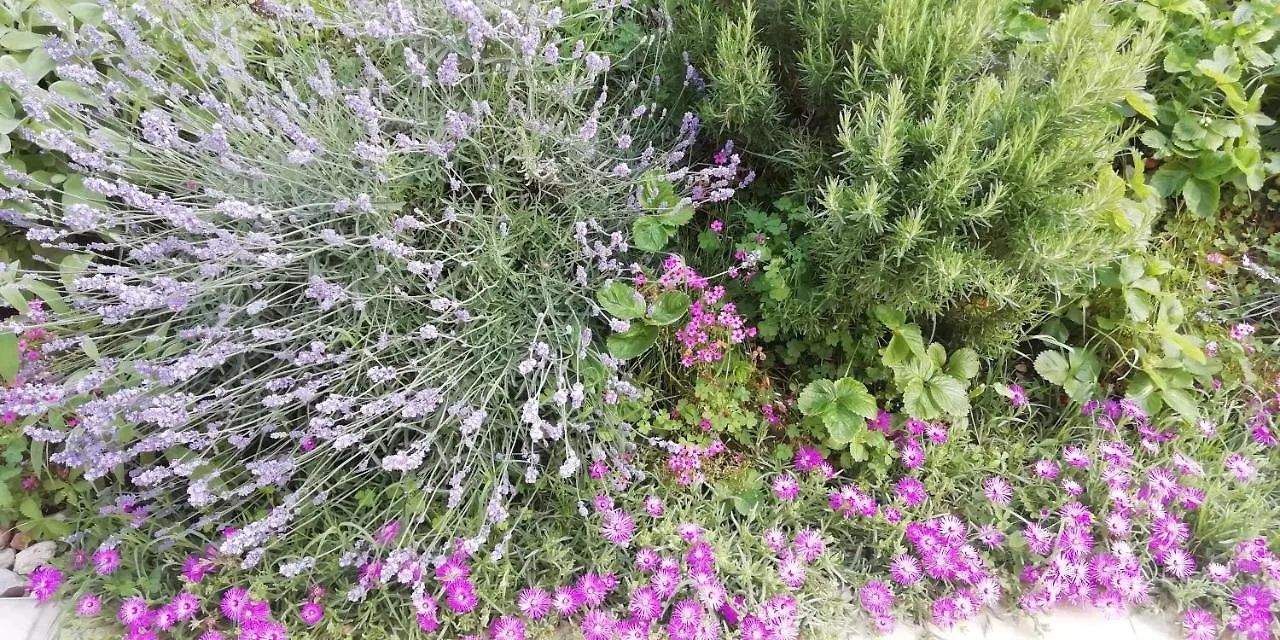 Agriturismo Fioralba Polpenazze del Garda 0*,  Italia