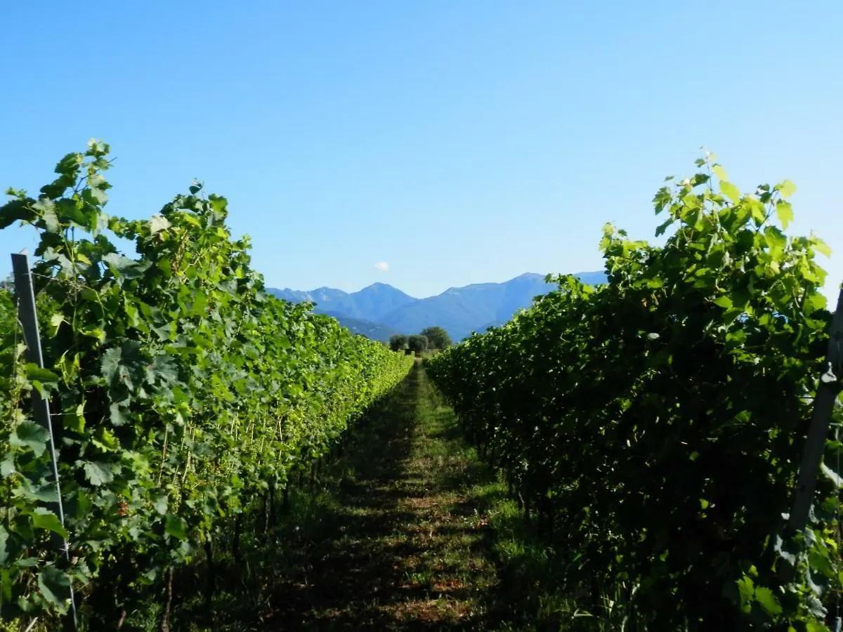 Alloggio per agriturismo Agriturismo Fioralba Polpenazze del Garda Italia